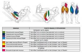 Выполнение жима одной ногой для ягодиц и задней поверхности бедра Жим ногами в тренажере какие мышцы работают