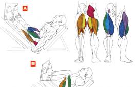 Упражнение «жим ногами в тренажере»: техника и вариации Жим ногами с разной постановкой ног
